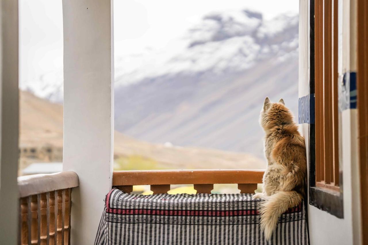 Albergue Zostel Spiti Kaza Exterior foto